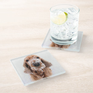 Cute Golden Retriever Dog With Snow Covered Face Glass Coaster