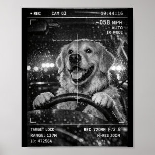 Cute golden retriever driving car animal joke poster