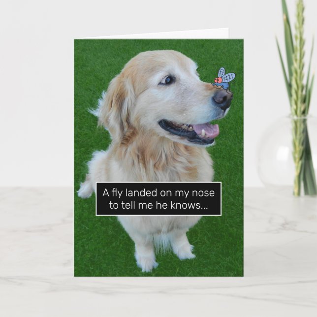 Cute Golden Retriever Fly With A Birthday Message Card (Front)