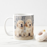 Cute Golden Retriever Puppy Dog