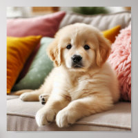 Cute Golden Retriever puppy