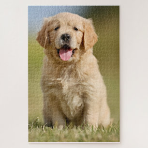 Cute Golden Retriever Puzzle
