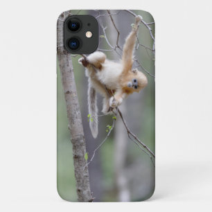 Cute Golden Snub-nosed Monkey on Tree Branches Case-Mate iPhone Case
