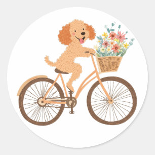 Cute Goldendoodle Dog Biking Spring Flowers Classic Round Sticker