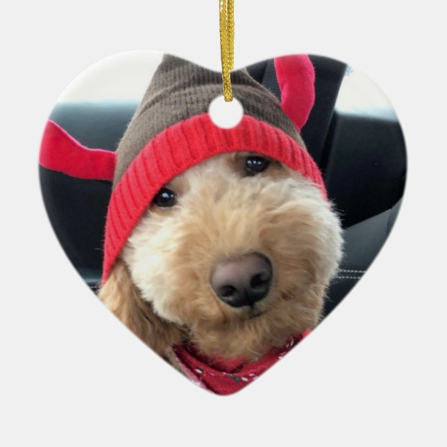 Cute Goldendoodle in His Christmas Outfit Ceramic Tree Decoration (Front)