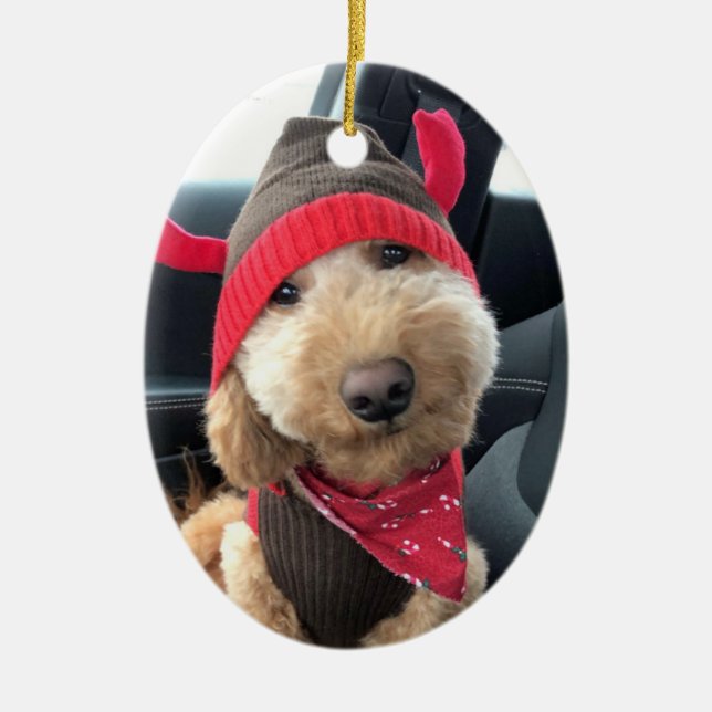 Cute Goldendoodle in His Christmas Outfit Ceramic Tree Decoration (Front)