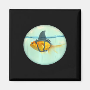 Cute Goldfish With A Shark Fin Fashion Magnet