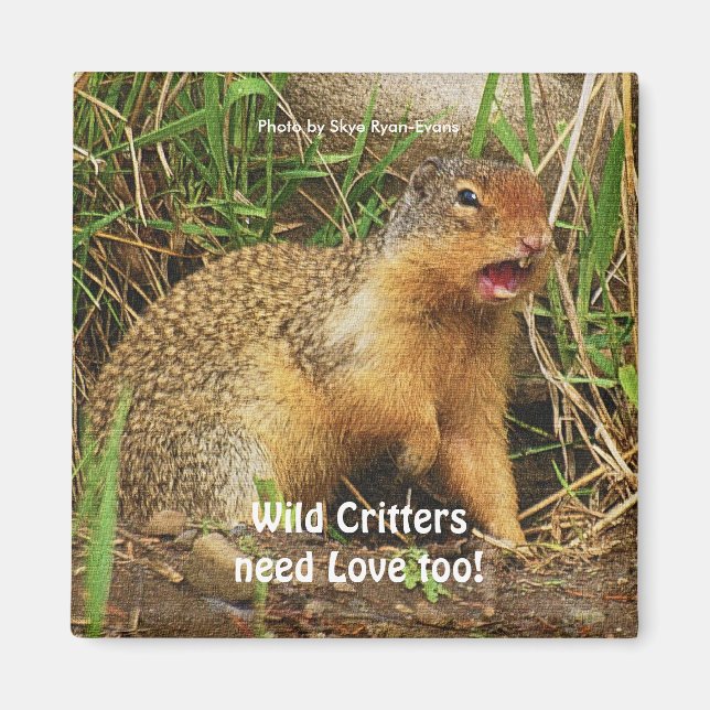 Cute Gopher Prairie-dogs Wildlife Magnets (Front)