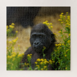 Cute Gorilla Baby Jigsaw Puzzle