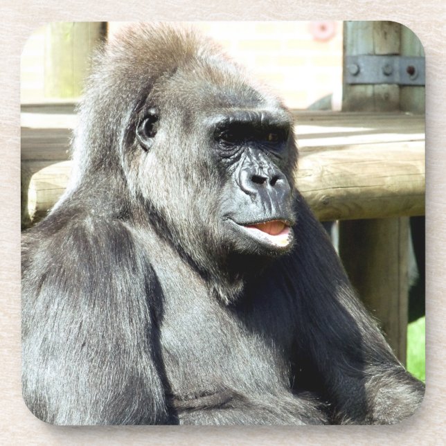 CUTE GORILLA COASTER (Front)