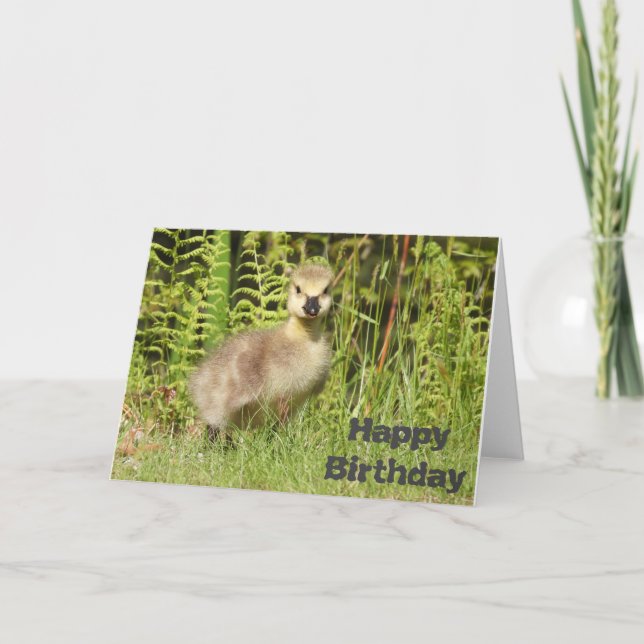 Cute Gosling Birthday or Greeting card. Customise Card (Front)