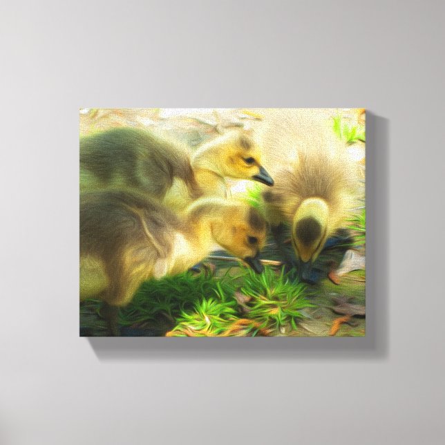 Cute Gosling Canvas Print (Front)