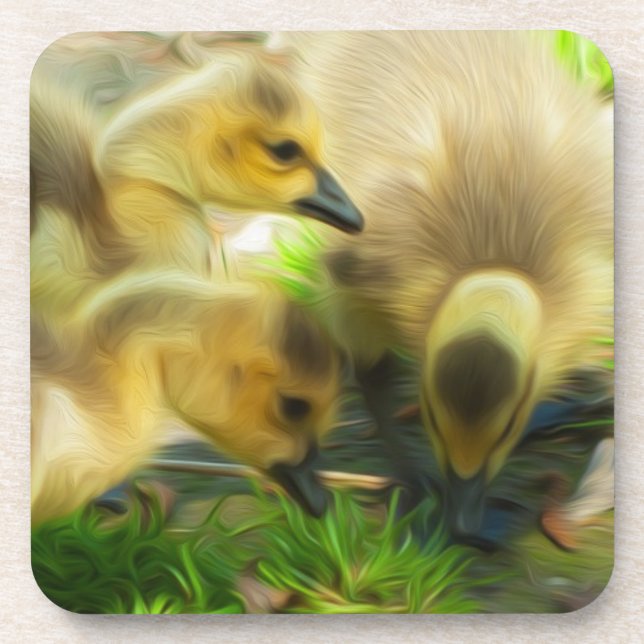 Cute Gosling Coaster (Front)
