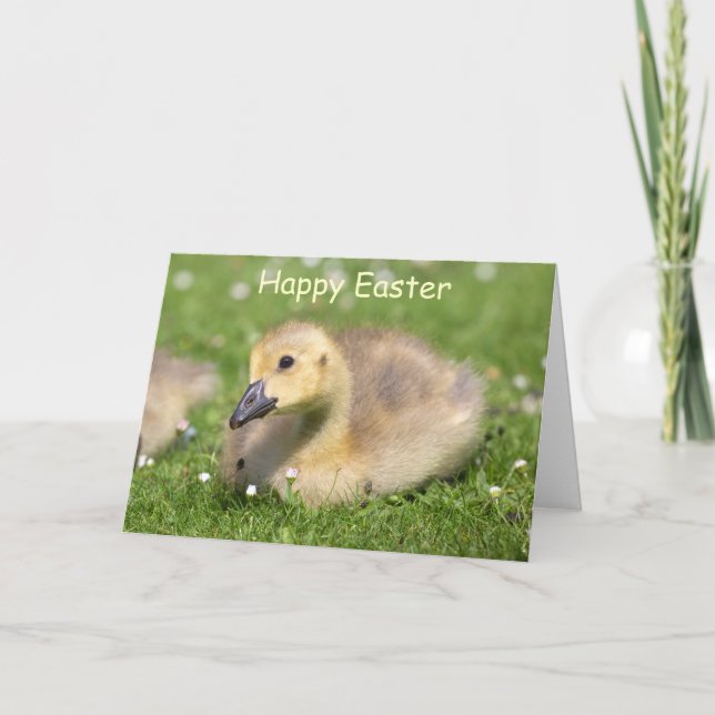 Cute Gosling Happy Easter Greeting Card (Front)