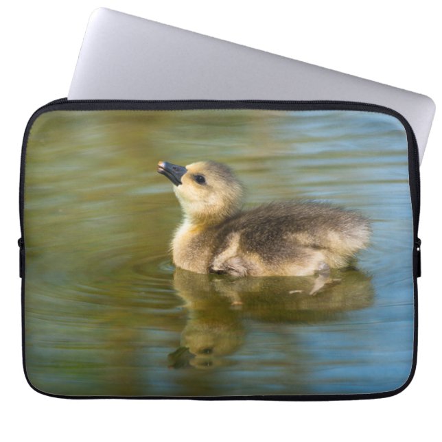 Cute Gosling on pond Laptop Sleeve (Front)