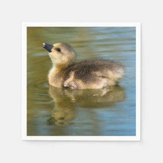 Cute Gosling on pond Napkin