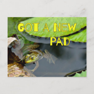 Cute Got A New Pad Frog Change of Address Postcard