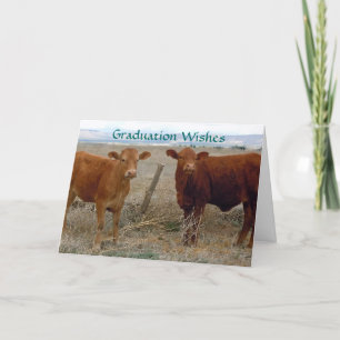 Cute Graduation - Red Cow Animal Humour - Ranch Card