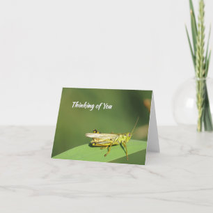 Cute Grasshopper - Blank Greeting Card