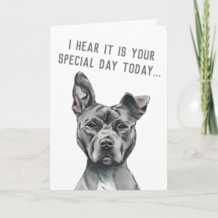 Cute Gray Dog Funny Happy Birthday Card