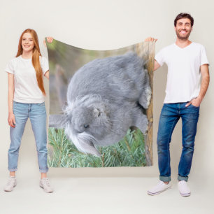 Cute gray rabbit     fleece blanket