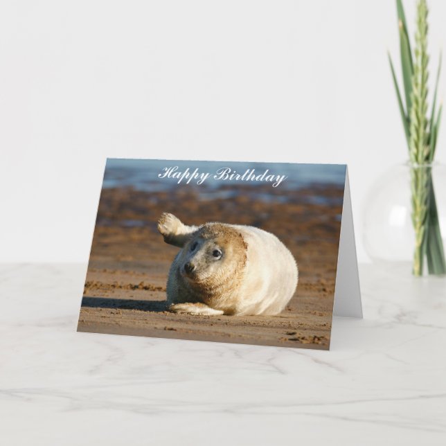 Cute Gray Seal Pup - Happy Birthday Greeting Card (Front)