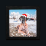 Cute Great Dane Dog Sitting In Snow Christmas Hat Gift Box<br><div class="desc">Cute Great Dane Dog Sitting In Snow Christmas Red Santa Hat</div>