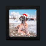 Cute Great Dane Dog Sitting In Snow Christmas Hat Gift Box<br><div class="desc">Cute Great Dane Dog Sitting In Snow Christmas Red Santa Hat</div>