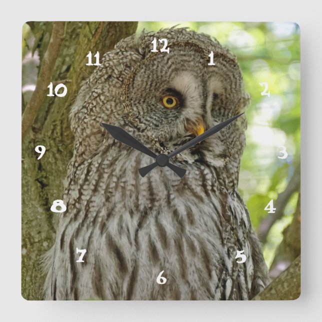 Cute Great Grey Owl Print Wall Clock (Front)