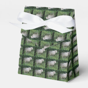 Cute Greedy Sheep Eating Favour Box