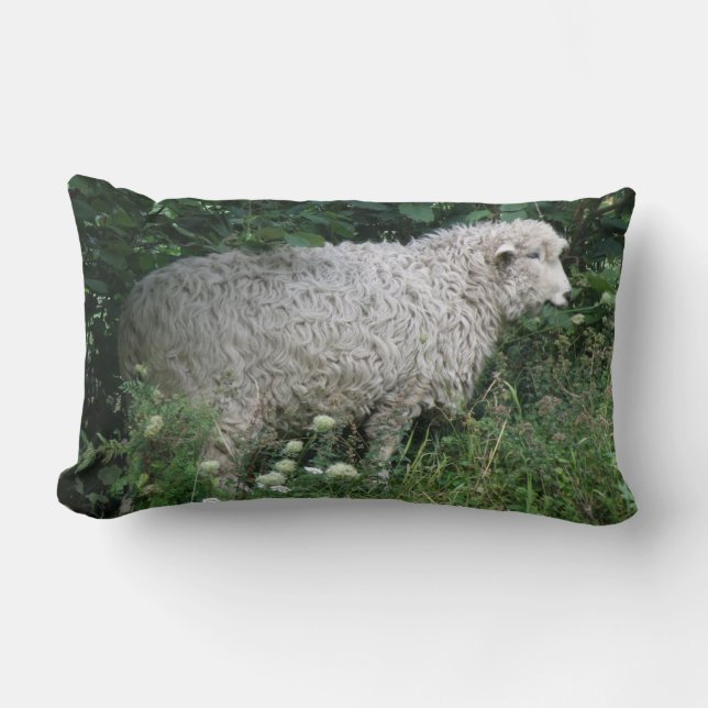 Cute Greedy Sheep Eating Pillow (Front)