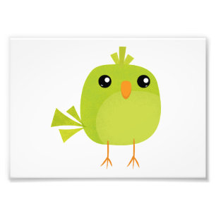 Cute Green Bird Cartoon Photo Print