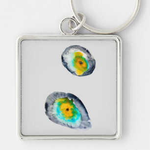 Cute green bird watercolor key ring