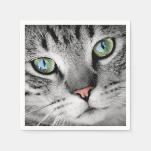 Cute green eyed cat portrait napkin