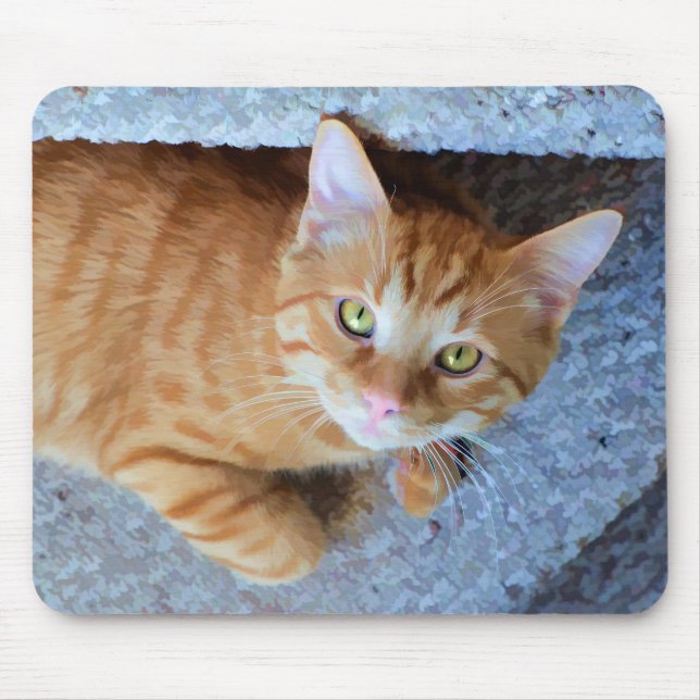 Cute Green Eyes Orange Tabby Cat Mouse Pad (Front)