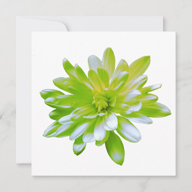 Cute green floral green flower green daisy invitation (Front)