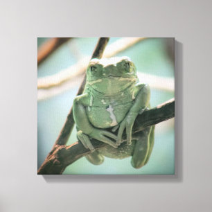Cute Green Frog Sitting on a Branch Canvas Print