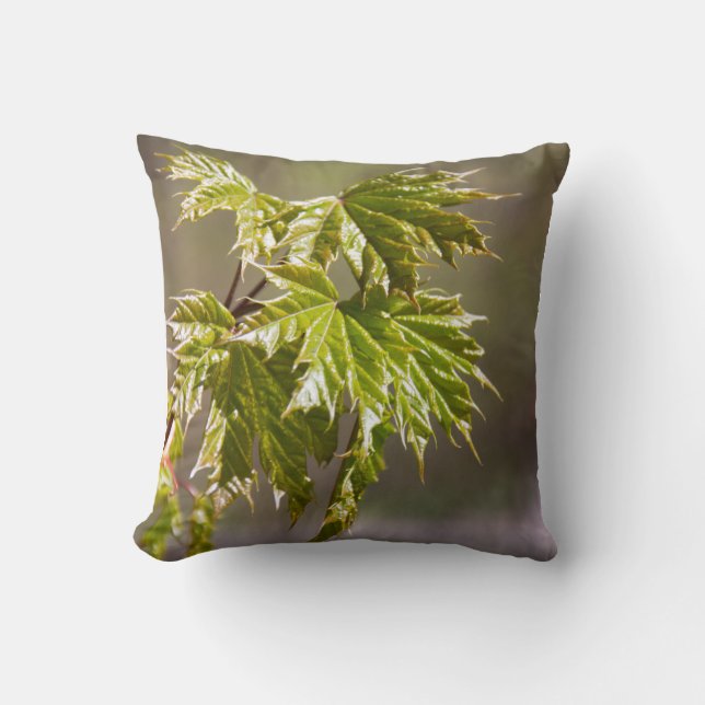 Cute green maple branch with small leaves  cushion (Front)