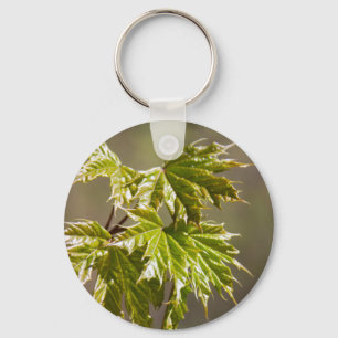 Cute green maple branch with small leaves keychain