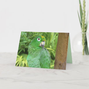 Cute Green Parrot Greeting Card