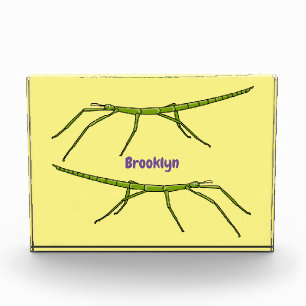 Cute green stick insects with happy faces cartoon photo block