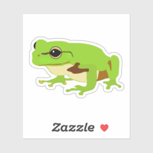 Cute Green Tree Frog