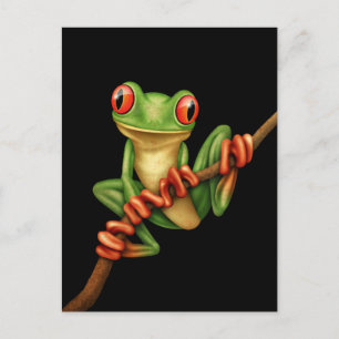 Cute Green Tree Frog on a Branch on Black Postcard