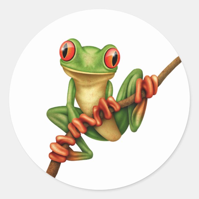 Cute Green Tree Frog on a Branch on White Classic Round Sticker (Front)