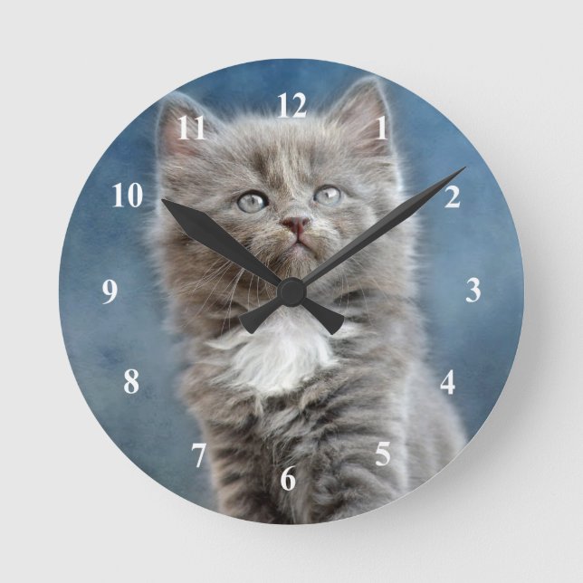 Cute Grey and White Kitten Photo Round Clock (Front)