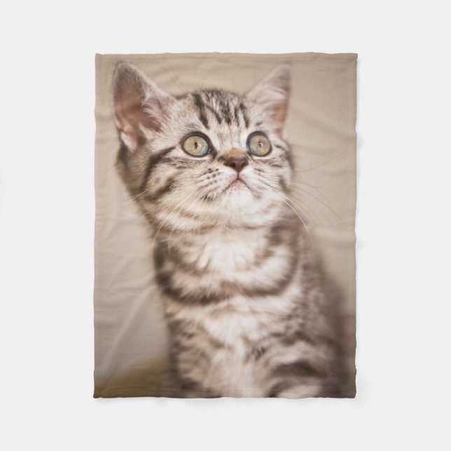 Cute Grey British Short Hair Kitten (Blue Tabby) Fleece Blanket (Front)