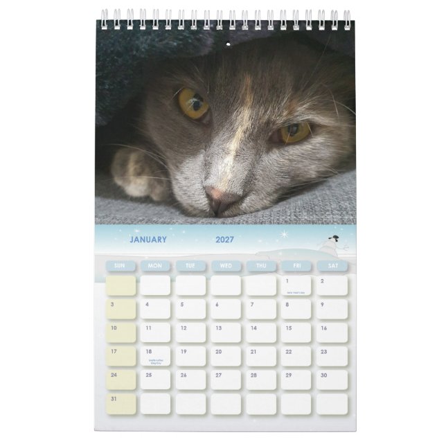 cute grey cat photos 2025 calendar (Jan 2027)