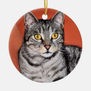 Cute Grey Cat Portrait Ceramic Tree Decoration
