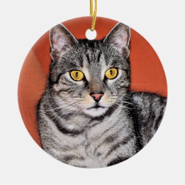 Cute Grey Cat Portrait Ceramic Tree Decoration (Front)
