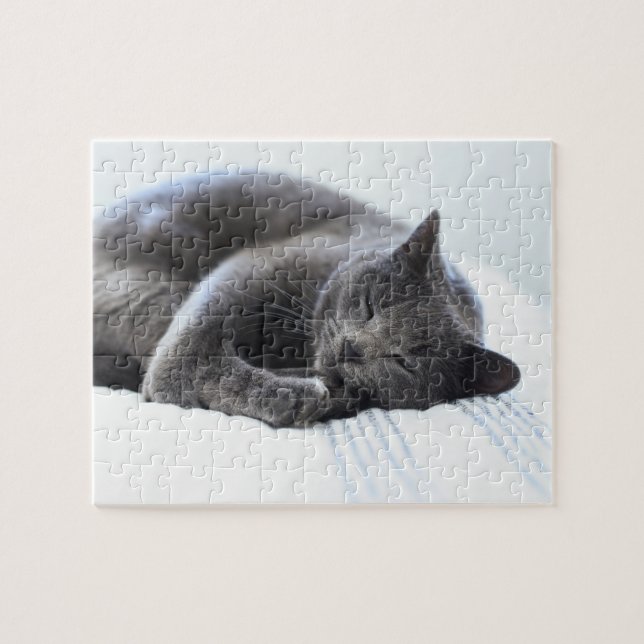 Cute Grey Cat Puzzle (Horizontal)
